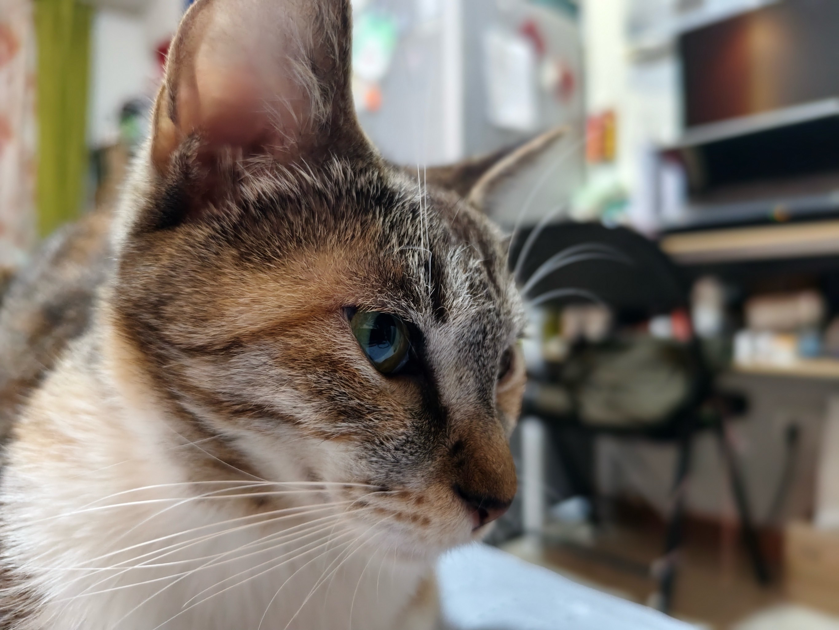 AYX SPORTS-墣泌/絺?=鄃"'