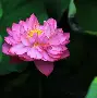 爱游戏官方网站-base码表